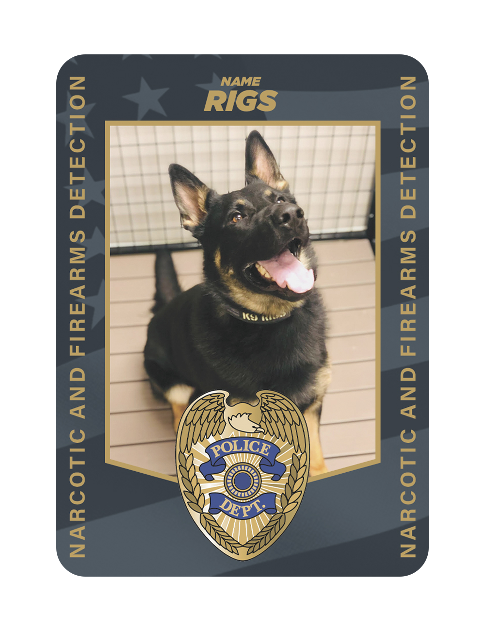 K9 Riggs 2