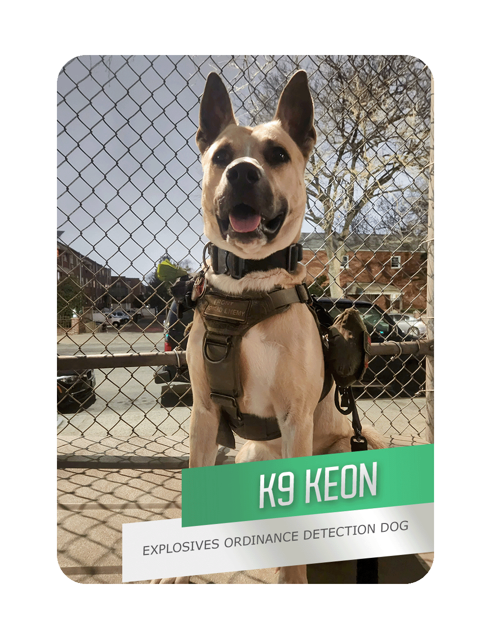 K9 Keon The Legal Aid Society