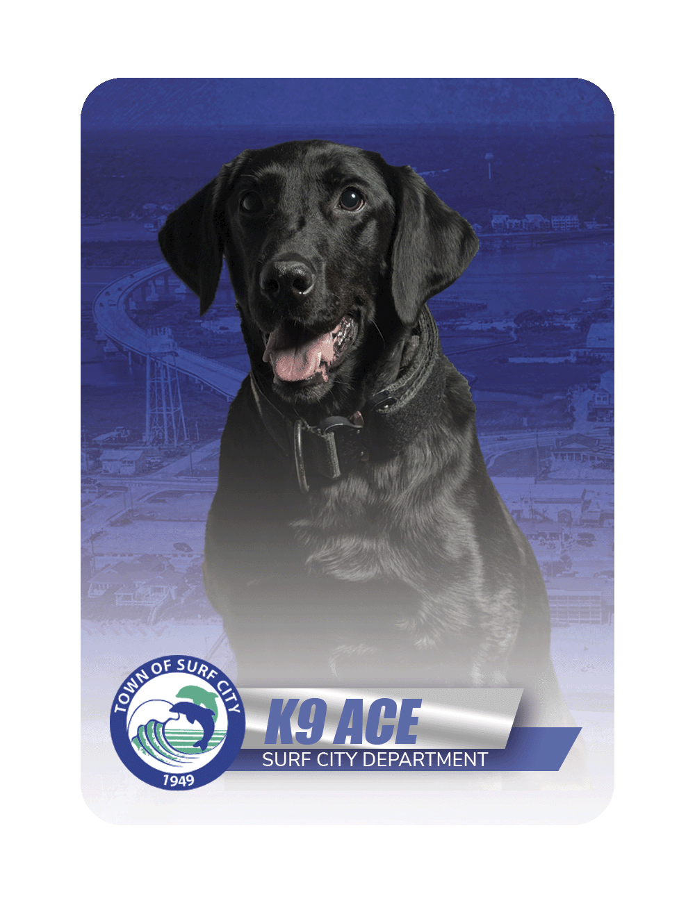 K9 Ace - Surf City Police Department