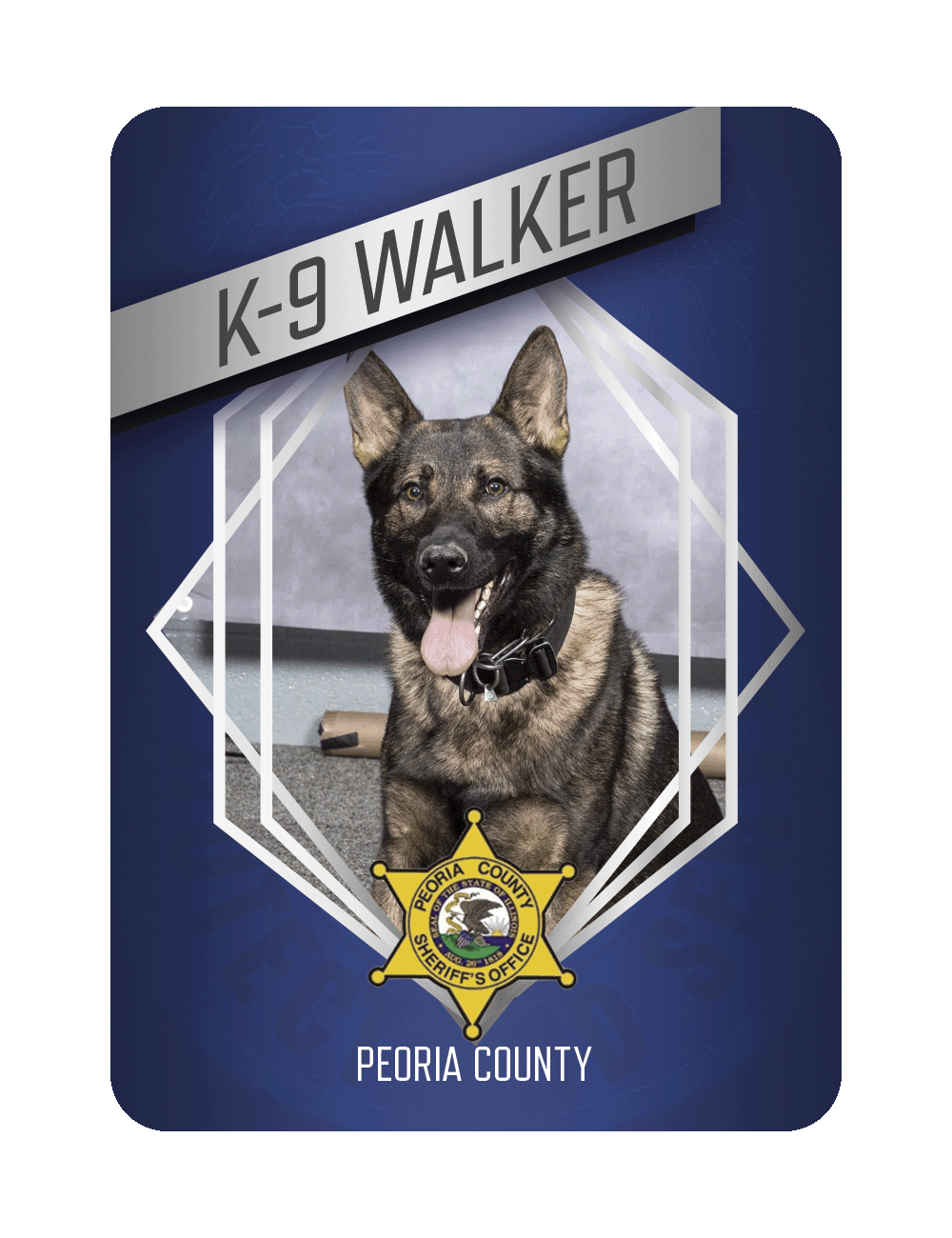 K9 Walker - Peoria County Sheriff's Office 1