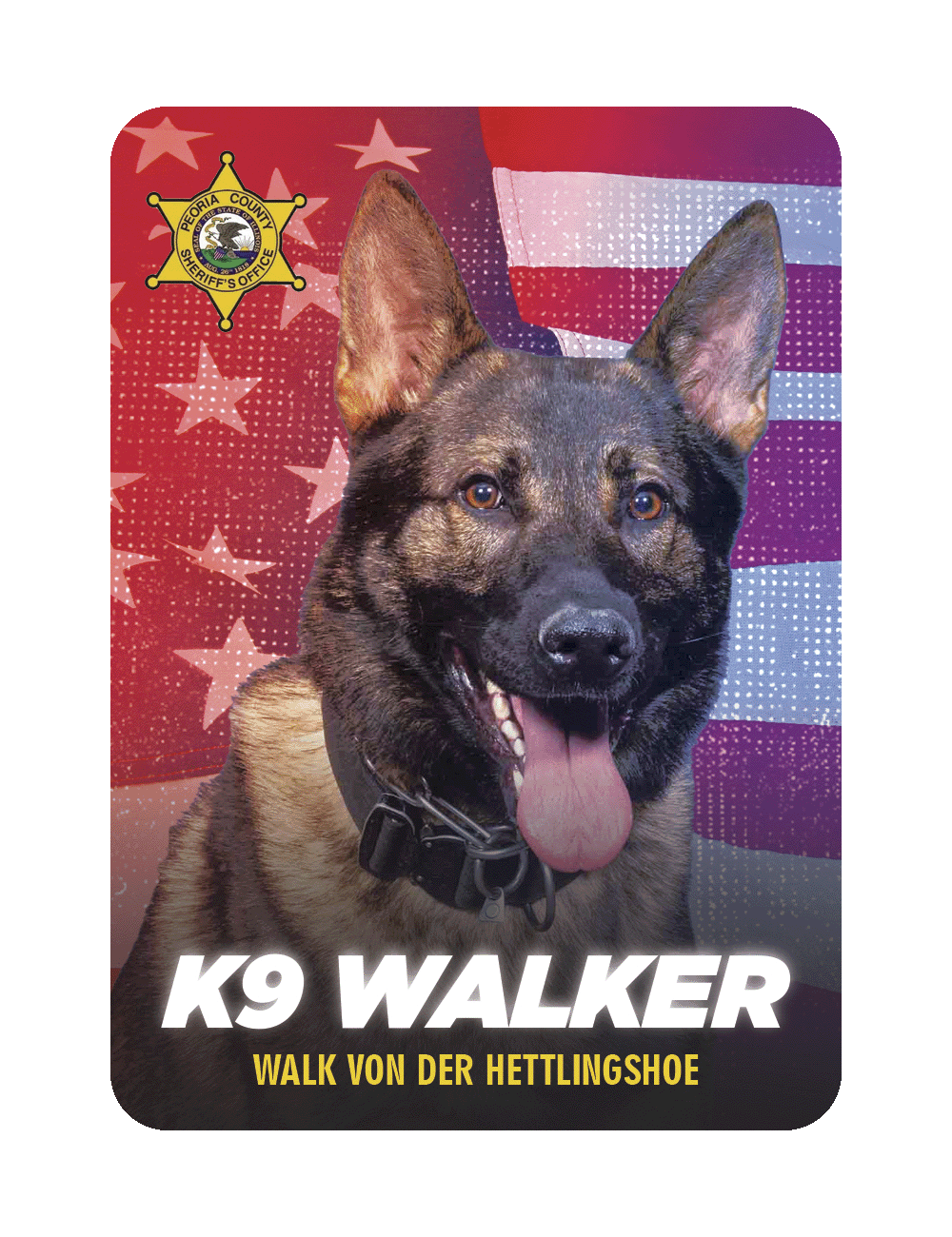 K9 Walker - Peoria County Sheriff's Office 2